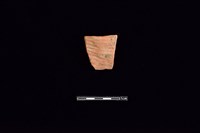 藏品(陶片)的圖片